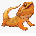 Reptile Group.