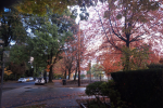 “ marshall st. “