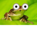 A fan club of me Mr.Frogy