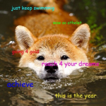 The Doge Squad And The Dog Squad