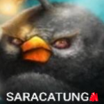 Saracatung
