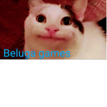 Beluga Squad (fans only)