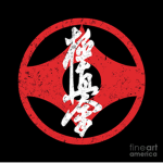 Kyokushin Karete | IKO