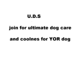 U.D.S (ultimate dog service)