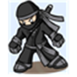 Assassin Ninja