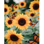 Butterfly Sunflower