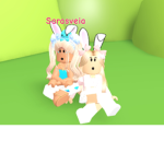 Bunnys love