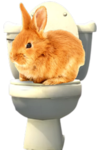 PIUNO Group Thumbnail