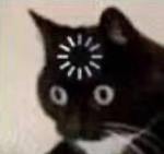 Cat Gamer Pros