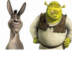 Miguel's Shrek Group