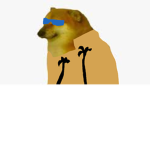 I LIKE DOGSS!