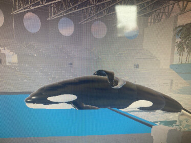 Orca Park Shamu Stadium park Free Mod