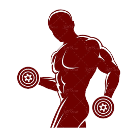 Mr.Universe