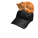 Roblox entity thumbnail