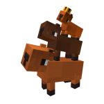 👑 The 3 Royal Capybaras 👑
