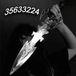 ninja kilIer