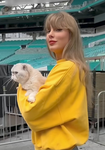 Swiftie chill place
