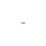 T1ger C1an