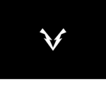 Vital Gaming Team