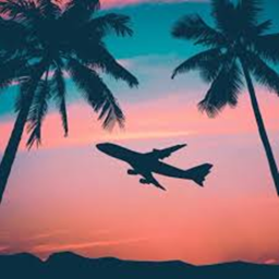 [TM] Downing International Airport [UK]