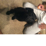 Micky and buddy