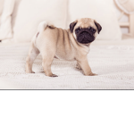 Hi my name is Tia!