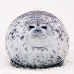 Seal teammates