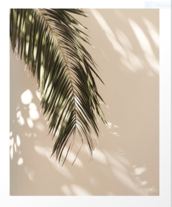 Basic Large Painting