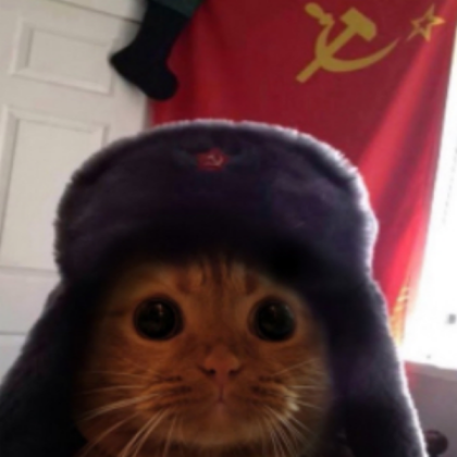 russian cat Roblox decal