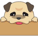 Amazing pug group