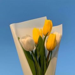 ⋆💙⋆💛⋆