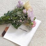 ✧･ﾟ: *✧･ﾟ:* 