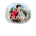 Cotton Farmers