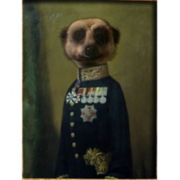 The Meerkat Bunker