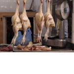ChickenWingDismisson