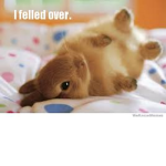 Group Bunny Lo ve r