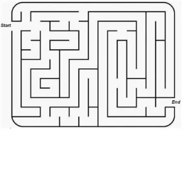 Survive Seek in a maze icon