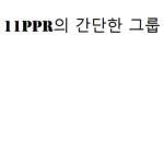 11PPR의 간단한 그룹 :)
