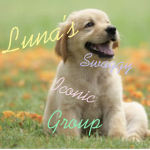 Luna’s Aesthetic Hang-out!!