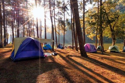 Simples camp