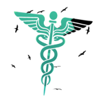 + | Plztfo's Medical Nation