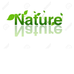 Nature Strikes