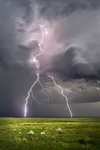 Weather Lovers