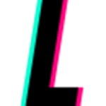 The L Fan Group