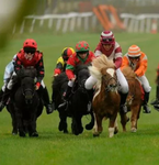 Shetland racing on strideaway