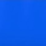 The blue buddy,s