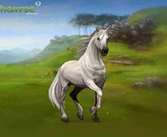 horse riding !!!!!