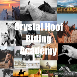 ~|~Crystal Hoof Riding Academy~|~