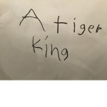 Tiger king boi