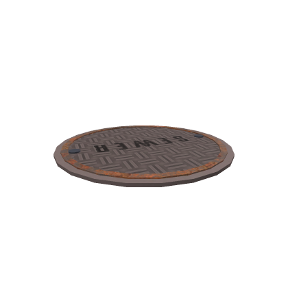 Sewer Cover